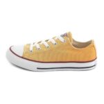 Converse Sneakers Collection